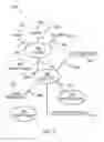 Fig. 04 - Method for enhancing a mind map with different streams of information