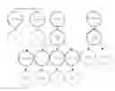 Fig. 01 - Generic indexing for efficiently supporting ad-hoc query over hierarchically marked-up data