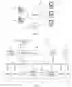 Fig. 02 - Securely associating an application with a well-known entity