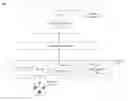 Fig. 01 - Secure vault service for software components within an execution environment
