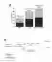 Fig. 04 - TUMOR-INITIATING CELLS AND METHODS OF USE