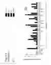 Fig. 15 - TUMOR-INITIATING CELLS AND METHODS OF USE