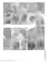 Fig. 24 - TUMOR-INITIATING CELLS AND METHODS OF USE