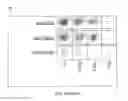 Fig. 16 - Methods of modulating thrombocytopenia and modified transgenic pigs