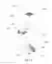 Fig. 07 - GLOVE WITH CLEANING SURFACES
