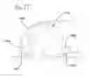 Fig. 08 - Vacuum cleaner floor seal