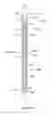 Fig. 14 - SYSTEMS AND METHODS FOR MAKING AND BREAKING THREADED JOINTS USING ORBITAL MOTIONS