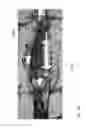 Fig. 32 - Pneumatically powered pole saw