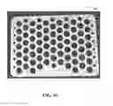 Fig. 11 - FISHING GEAR WITH DEGRADABLE COMPONENT