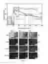 Fig. 07 - MANUFACTURE OF METAL ARTICLES
