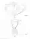 Fig. 02 - Paraboloidal percussion instrument