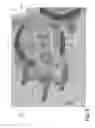 Fig. 06 - Intaglio printing press