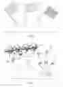 Fig. 03 - DEVICES, KITS AND SYSTEMS FOR ENHANCING DISTANCE DETERMINATION IN A TERRAIN