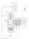 Fig. 02 - CAMSHAFT AND FOLLOWER GEOMETRY