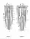 Fig. 05 - Dual fuel injector and engine using same