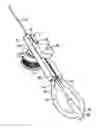 Fig. 01 - Spearfishing apparatus