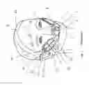 Fig. 02 - HEADGEAR ASSEMBLY WITH IMPROVED STABIIZATION