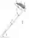 Fig. 06 - Hair dye applicator and methods of use