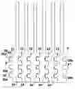 Fig. 01 - System and Method of Producing Scalable Heat-sink Assembly