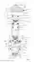 Fig. 02 - Dual circulation drilling system