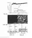 Fig. 03 - CATALYSTS FOR LOW TEMPERATURE ELECTROLYTIC CO REDUCTION