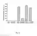 Fig. 11 - METHOD OF MAKING A MEMBRANE AND A MEMBRANE FOR WATER FILTRATION