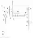 Fig. 04 - Apparatus and methods for solution processing