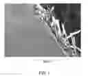 Fig. 02 - Hydrophilic-oleophobic copolymer composition and uses thereof
