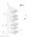 Fig. 02 - Footwear rack