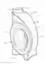Fig. 01 - Extrusion blow molded PET container and method of making