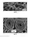 Fig. 15 - Method for making multiple walled nested coaxial nanostructures