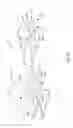 Fig. 17 - Waste containment receptacle