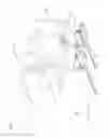 Fig. 02 - Supporting unit structure of vehicle seat