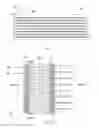 Fig. 13 - Capillary array