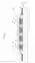 Fig. 02 - LIGHT-EMITTING DEVICE