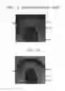 Fig. 06 - Semiconductor device and method of fabricating the same