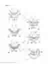 Fig. 06 - Multilayer contact lens and production process therefor