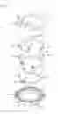 Fig. 08 - Stator of motor having bus-bar wiring structure and method of wiring coil in parallel using the same