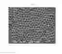 Fig. 08 - CERAMIC ELECTRONIC COMPONENT AND METHOD OF MANUFACTURING CERAMIC ELECTRONIC COMPONENT