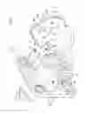 Fig. 07 - CHARGING INLET DEVICE