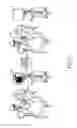 Fig. 02 - Method and apparatus for beamforming in wireless communication system