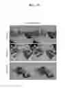 Fig. 20 - Image display system and method of fitting multiple models to image
