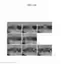 Fig. 22 - Image display system and method of fitting multiple models to image