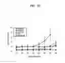 Fig. 24 - Image display system and method of fitting multiple models to image