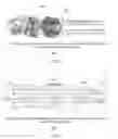 Fig. 09 - Digital annotation-based visual recognition book pronunciation system and related method of operation