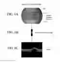 Fig. 07 - OPTICAL COHERENCE TOMOGRAPHY DEVICE, METHOD, AND SYSTEM