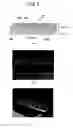 Fig. 10 - APPARATUS AND METHOD FOR MEASURING PHYSIOLOGICALLY ACTIVE SUBSTANCE OF BIOLOGICAL ORIGIN
