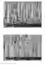 Fig. 01 - COATED STRUCTURED SURFACES