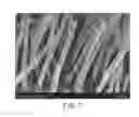 Fig. 08 - COATED STRUCTURED SURFACES