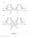 Fig. 06 - Nonvolatile logic gate device